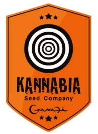 SKFF050016 - B.LEE AUTO 5 SAMEN FEMM KANNABIA SEED COMPANY