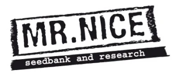 SMNN0002 - MR: NICE SEEDSBANK - CRITICAL MASS REG | 15 SAMEN