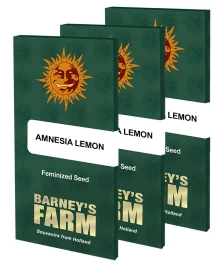BFAL10 - BARNEY'S FARM - AMNESIA LEMON FEM | 10 SAMEN