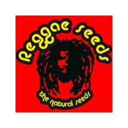 RS00307 - O'HAZE ROT 7 SAMEN FEMM REGGAE SAMEN