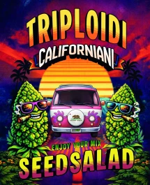 SEX0936005 - SEEDSALAD - MINTZ CAKE TRIPLOID CALIFORNIAN FEM | 5 SAMEN