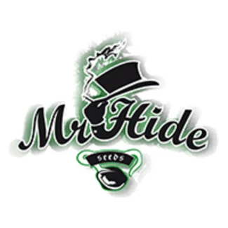 MRH03FSSK - MR. HIDE SEEDS - SHISKA 3 SAMEN FEMM