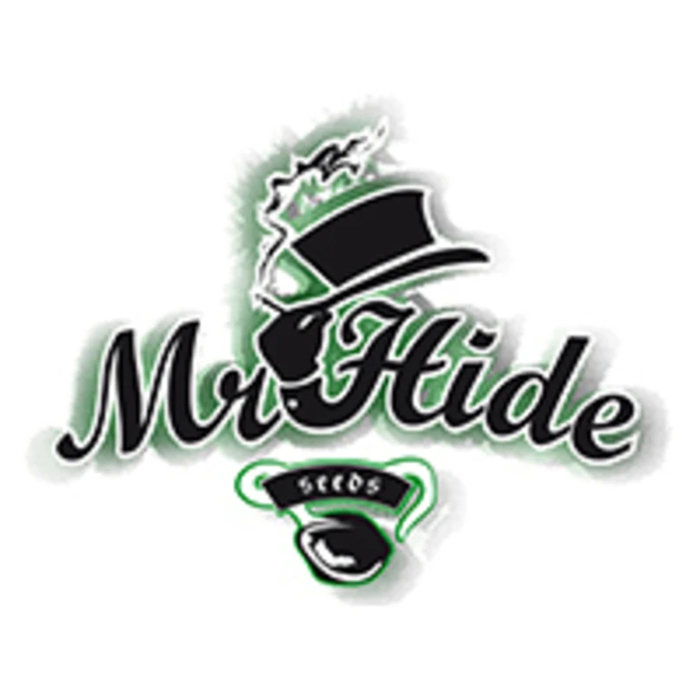 MRH03FSSK - MR. HIDE SEEDS - SHISKA 3 SAMEN FEMM