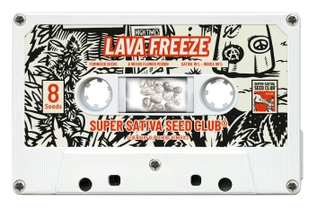 SSSC050502 - SUPER SATIVA SEED CLUB - LAVA FREEZE FEM | 5 SAMEN