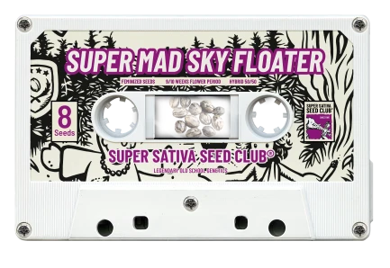 SSSC11081 - SUPER SATIVA SEED CLUB - SUPER MAD SKY FLOATER FEM | 8 SEEDS Verfügbar solange der Vorrat reicht