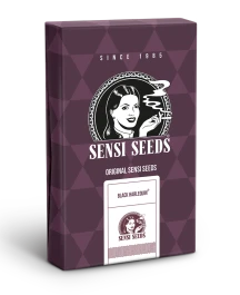 SS1560329 - SENSI SEEDS BANK - BLACK HARLEQUIN FEM | 3 SEEDS Verfügbar solange der Vorrat reicht