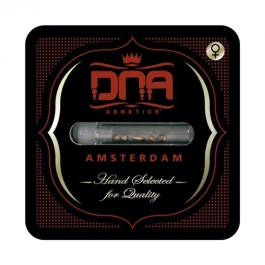 DNAFEM621 - DNA GENETICS - CATARACT CAKE FEM | 6 SAMEN