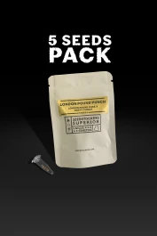 SSTKHF0005071 - SEEDSTOCKERS - LONDON POUND PUNCH FEM | 5 SAMEN