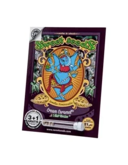 SWEET SEEDS - CREAM CARAMEL F1 FAST VERSION® FEM (SWS40) | 5+2 SEEDS