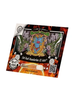SWEET SEEDS - JET FUEL MANDARINE XL AUTO® FEM (SWS109) | 25 SEEDS