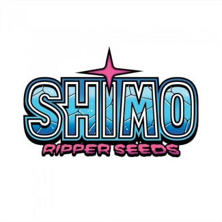 RIPPER SEEDS - SHIMO FEM | 3 SEEDS