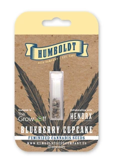 HUMBOLDT SEEDS COMPANY - BLUEBERRY CUPCAKE FEM | 5 SEEDS