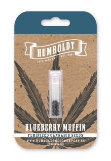 HUMBOLDT SEEDS COMPANY - BLUEBERRY MUFFIN FEM | 10 SEEDS