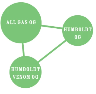 HUMBOLDT SEEDS COMPANY - ALL GAS OG FEM | 5 SEEDS