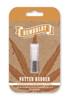 HUMBOLDT SEEDS COMPANY - NUTTER BUDDER FEM | 10 SEEDS
