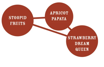 HUMBOLDT SEEDS COMPANY - SLIGHTLY STOOPID FRUITS FEM | 5 SEEDS