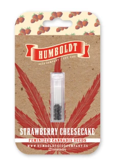 HUMBOLDT SEEDS COMPANY - STRAWBERRY CHEESECAKE FEM | 5 SEEDS