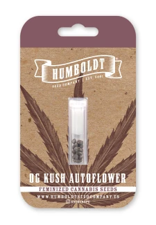 HUMBOLDT SEEDS COMPANY - OG KUSH AUTO | 3 SEEDS