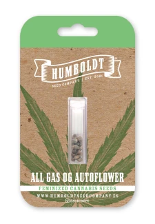 HUMBOLDT SEEDS COMPANY - ALL GAS OG AUTO | 5 SEEDS
