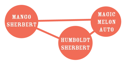 HUMBOLDT SEEDS COMPANY - MANGO SHERBET AUTO | 3 SEEDS