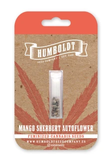 HUMBOLDT SEEDS COMPANY - MANGO SHERBET AUTO | 10 SEEDS