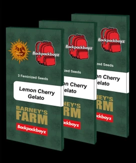 BARNEY'S FARM - LEMON CHERRY GELATO FEM | 10 SEEDS