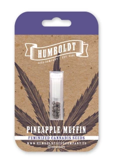HUMBOLDT SEEDS COMPANY - PINEAPPLE MUFFIN FEM | 3 SEEDS
