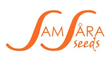 SAMSA5 - SHOT ADRENALINE AUTO 5 SEEDS SAMSARA