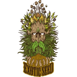 EXSF00903 - EXOTIC SEED - SPICY BITCH FEM | 3 SEEDS