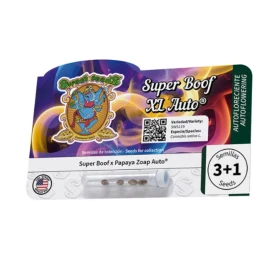 SWSBXLA003 - SWEET SEEDS - SUPER BOOF XL AUTO® FEM (SWS119) | 3+1 SEEDS