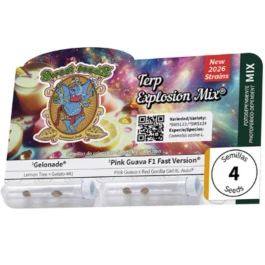 SWTEM004 - SWEET SEEDS - TERP EXPLOSION MIX | 4 SEEDS