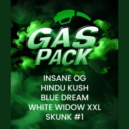 BF2009905 - BARNEY'S FARM - GAS PACK FEM | 5 SEEDS