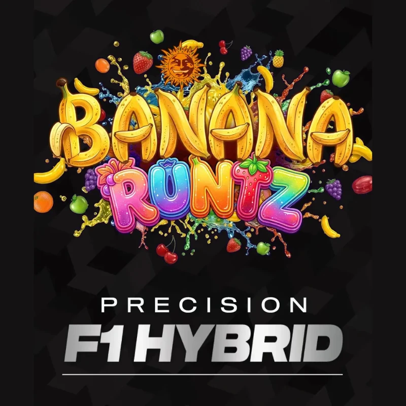 BF2011603 - BARNEY'S FARM - BANANA RUNTZ FEM (PRECISION F1 HYBRID) | 3 SEEDS