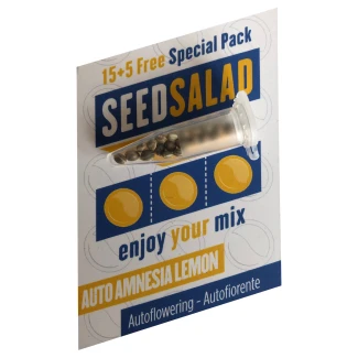 SEEDSALAD - AUTO AMNESIA LEMON FEM | 15+5 FREE SEEDS