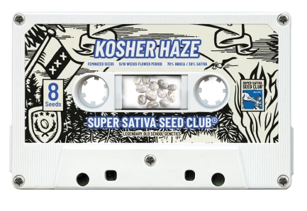SUPER SATIVA SEED CLUB - KOSHER HAZE REG | 12 SEEDS