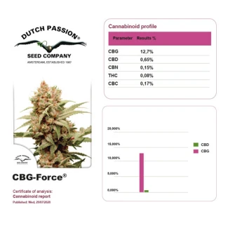 DUTCH PASSION - CBG-FORCE FEM | 5 SEEDS