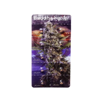 BUDDHA SEEDS - KRAKEN FEM | BLISTER 1x10 SEEDS