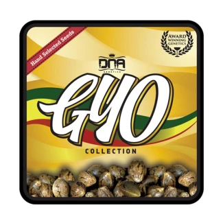 GYOFEM6006 - GROW YOUR OWN - LEMON WALKER FEM | 6 SEEDS