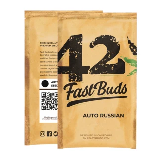 FAST BUDS - ORIGINAL RUSSIAN AUTO | 50 SEEDS