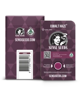 SENSI SEEDS BANK - COBALT HAZE FEM (Sensi #11) | 3 SEEDS
