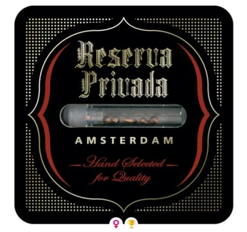 DNA GENETICS - KOSHER COOKIES FEM | 3 SEEDS