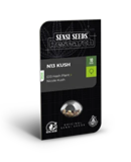 SENSI SEEDS RESEARCH - N13 KUSH FEM | 3 SEEDS