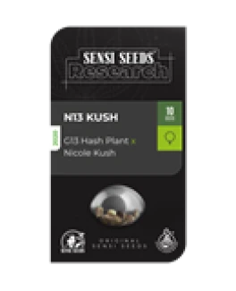 SENSI SEEDS RESEARCH - N13 KUSH FEM | 3 SEEDS