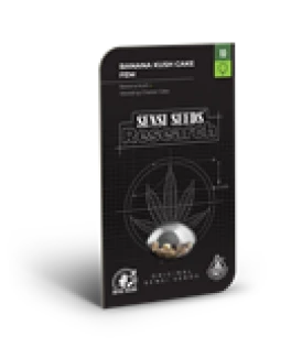 SENSI SEEDS RESEARCH - BANANA KUSH CAKE FEM | 5 SEEDS