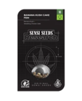 SENSI SEEDS RESEARCH - BANANA KUSH CAKE FEM | 10 SEEDS