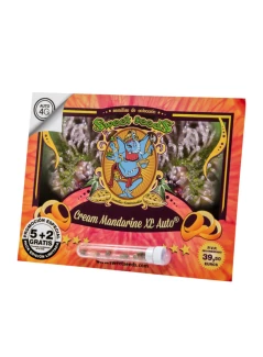 SWEET SEEDS - CREAM MANDARINE XL AUTO® FEM (SWS55) | 3+1 SEEDS