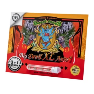 SWEET SEEDS - BIG DEVIL XL AUTO® FEM (SWS28) | 100 SEEDS