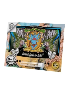 SWEET SEEDS - SWEET GELATO AUTO FEM® (SWS76) | 3+1 SEEDS