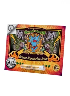 SWEET SEEDS - CREAM MANDARINE AUTO® FEM (SWS29) | 3+1 SEEDS