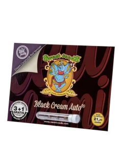 SWEET SEEDS - BLACK CREAM AUTO® FEM (SWS37) | 5+2 SEEDS